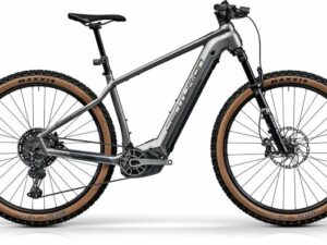 E-Bike/ Pedelec: MTB Hardtail