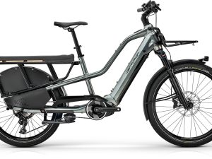 E-Bike/ Pedelec: Cargo